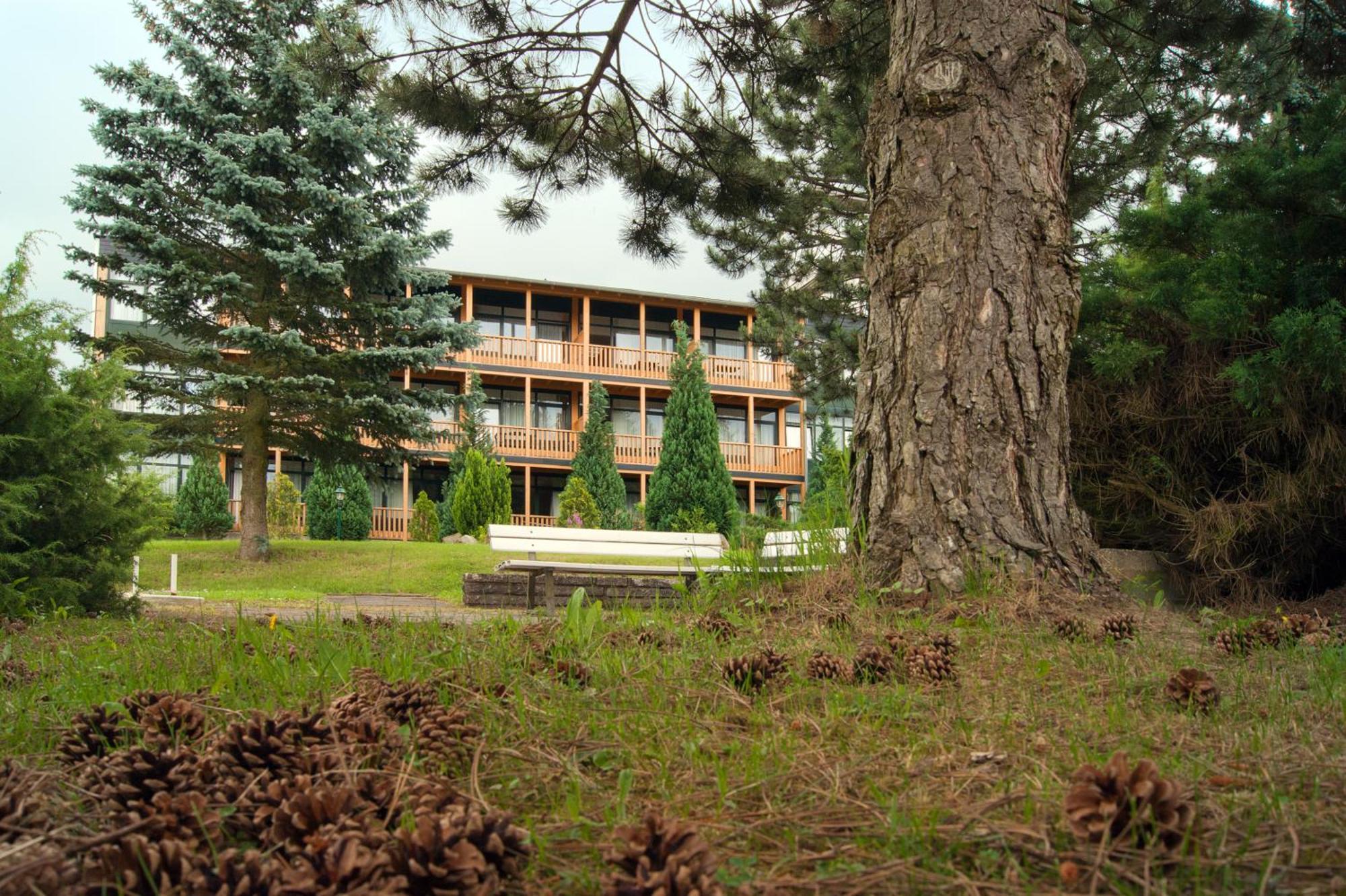 Landhotel Harz Thale Exterior foto