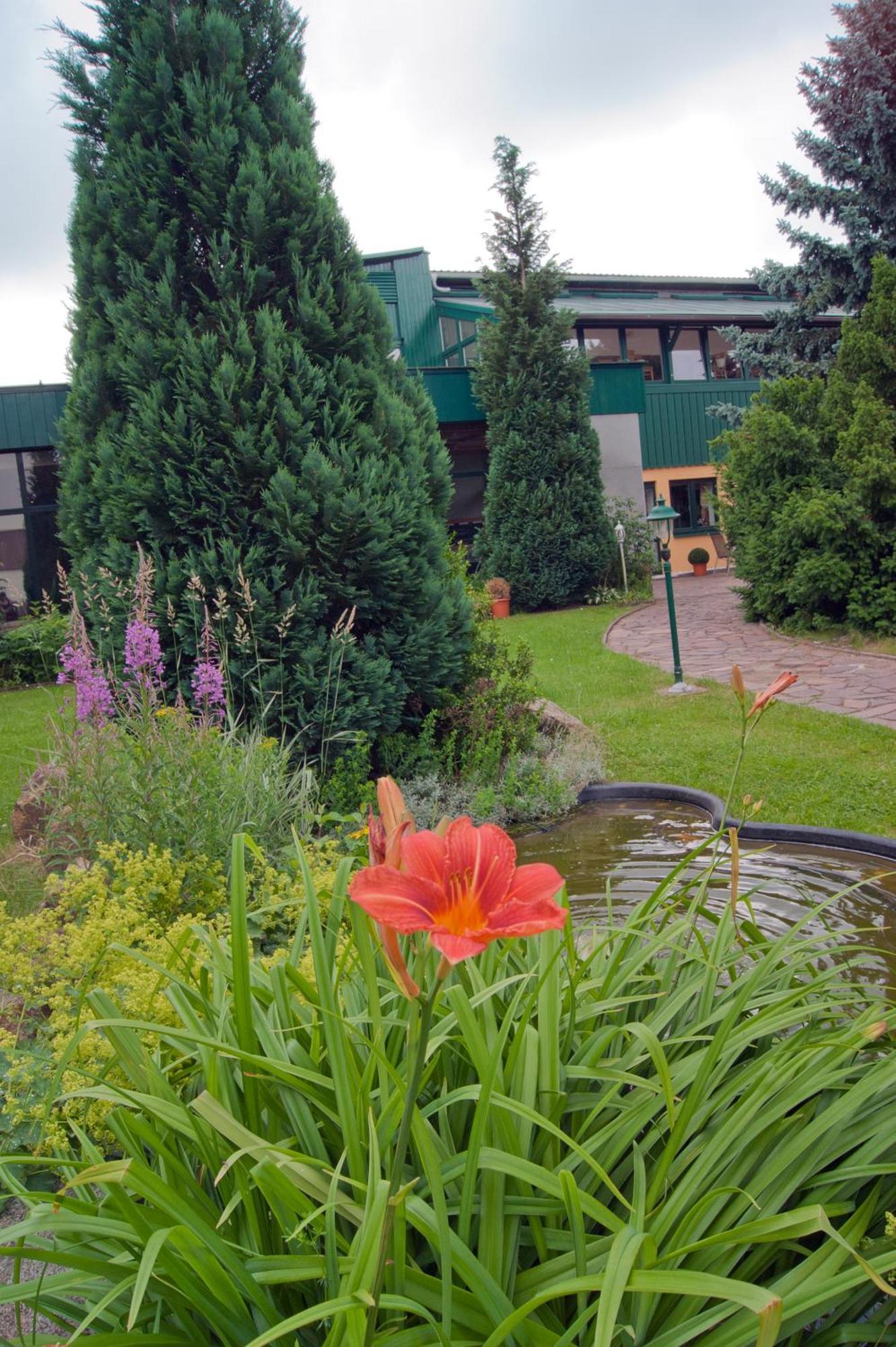 Landhotel Harz Thale Exterior foto